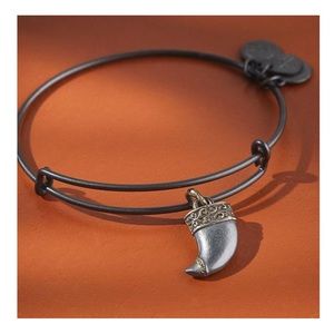 Alex and Ani  Tiger's Claw Expandable Bracelet
